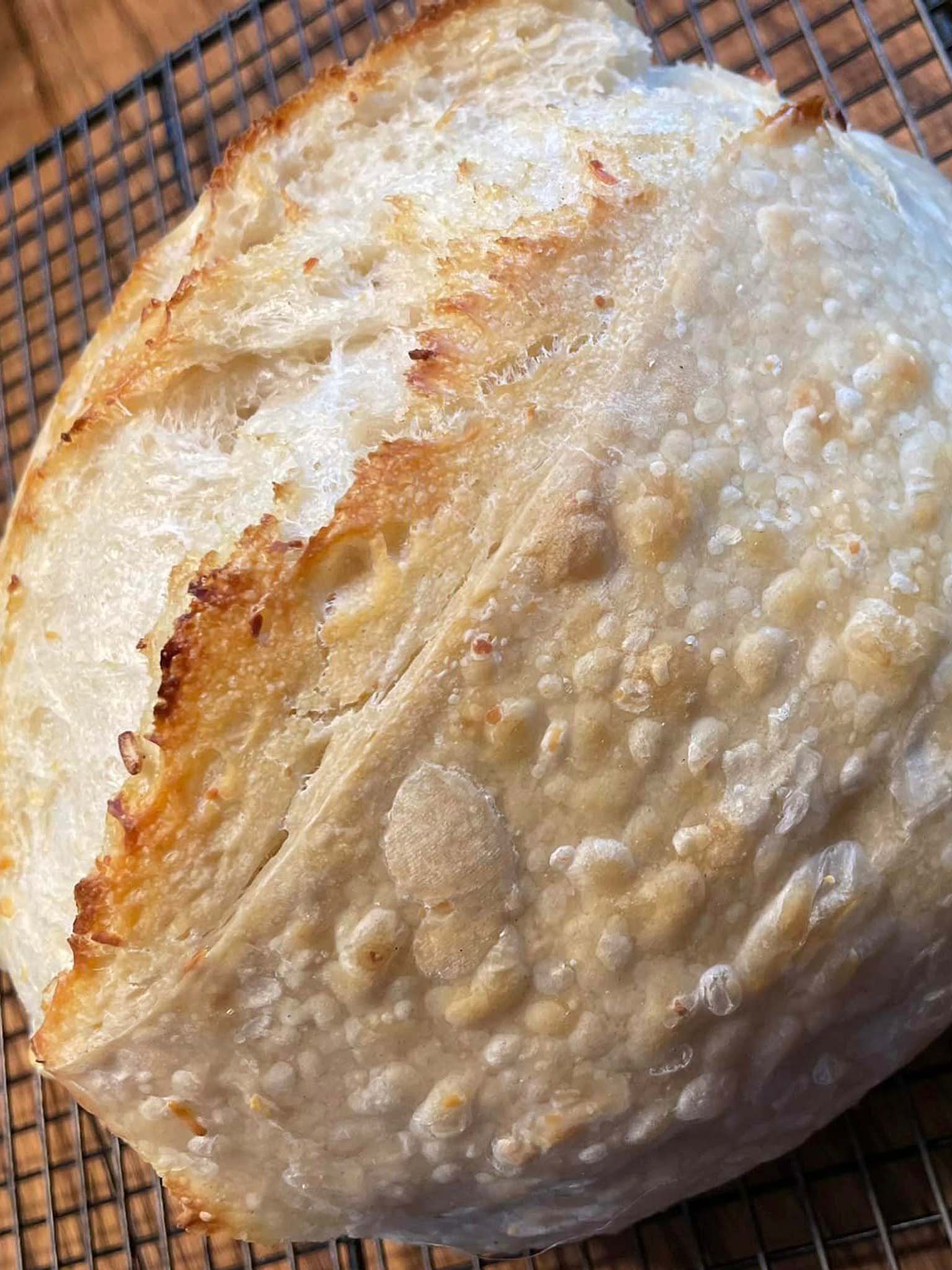 43 Asiago Garlic Cropped Bread Of Life